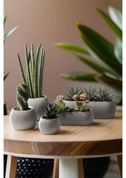 Modern mercan saksı seti, 5 parça, bej renk, dayanıklı plastik materyal