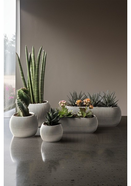 Modern mercan saksı seti, 5 parça, bej renk, dayanıklı plastik materyal fiyatları