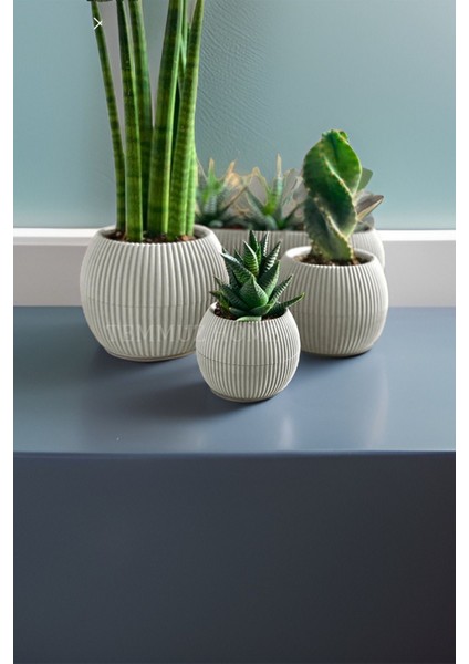 Modern mercan saksı seti, 5 parça, bej renk, dayanıklı plastik materyal modelleri