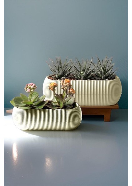 Modern mercan saksı seti, 5 parça, bej renk, dayanıklı plastik materyal fırsatları