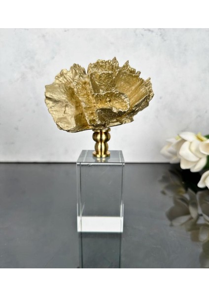 Tekno Trust Kristal Stantlı Mercan Gold