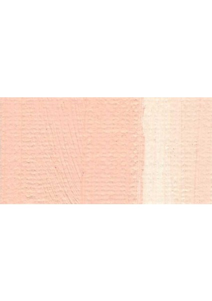 Studio 37 ml Yağlı Boya No 0222 Ten Rengi