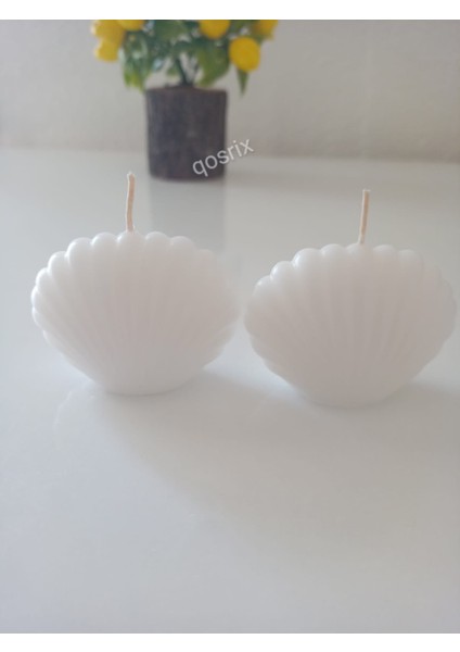 2'li Beyaz Mini Istiridye Deniz Kabuğu Soya Doğal Vanilya Kokulu Mum Dekoratif