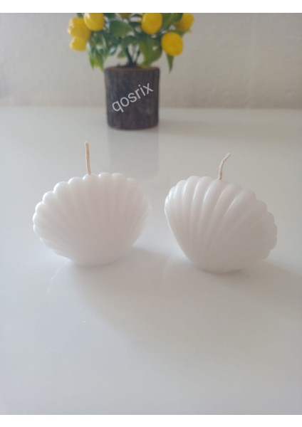 2'li Beyaz Mini Istiridye Deniz Kabuğu Soya Doğal Vanilya Kokulu Mum Dekoratif fiyatları