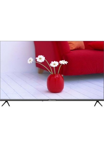 55 Dg 22000 55'' 139 Ekran Uydu Alıcılı 4K Ultra HD Smart  Android LED TV