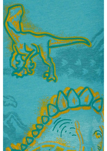 Küçük Erkek Çocuk Uzun Kollu Tshirt fiyatları