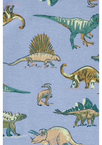 Küçük Erkek Çocuk Pijama Set 4'lü Paket modelleri