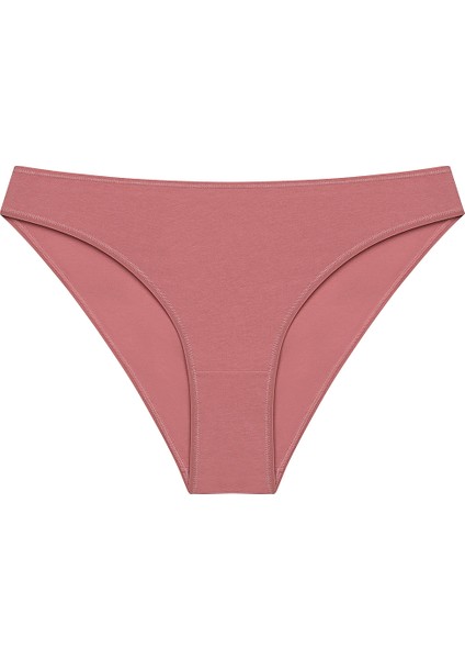 Earth Tones 3lü Çok Renkli Slip Külot