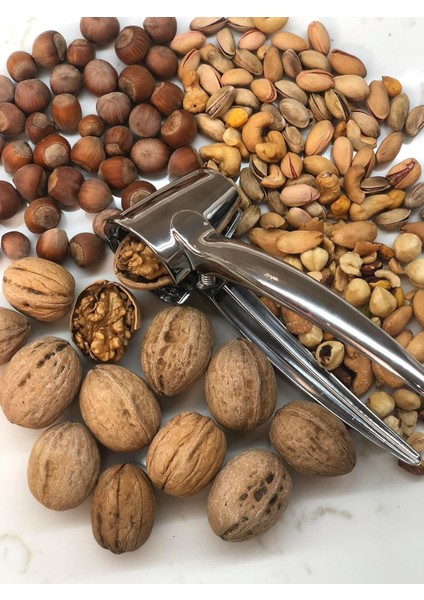 Ceviz Kıracağı, Sağlam Paslanmaz Çelik Krom Renk Metal Ceviz ve Fındık Kıracağı (Kaplamalı)