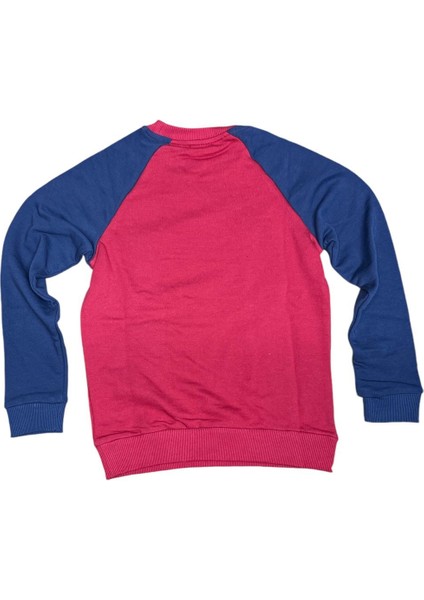 Erkek Çocuk Sweatshirt 72745-009 fiyatları