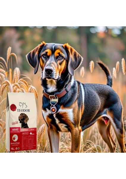 Adult Yüksek Enerjili Kuzu Etli ve Pirinçli %28 Proteinli Yetişkin Köpek Maması 15kg fırsatları