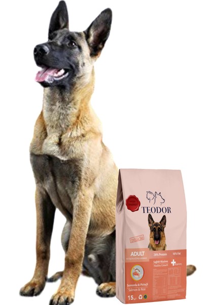 Adult Yüksek Enerjili Somonlu ve Pirinçli %28 Protein Yetişkin Köpek Maması 15kg modelleri