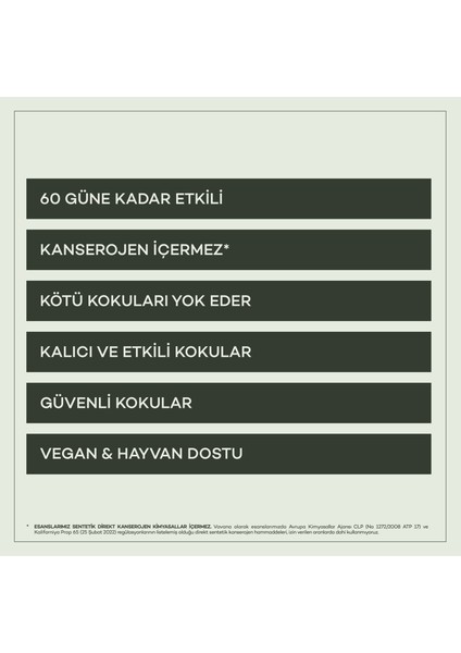 Araba Klima Kokusu, Flat Oto Kokusu 2'li Set, 60 Gün Etkili Araç Kokusu - Energetic | Artistic fırsatları