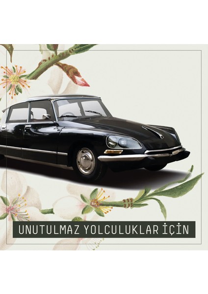 Araba Klima Kokusu, Flat Oto Kokusu 2'li Set, 60 Gün Etkili Araç Kokusu - Energetic | Artistic