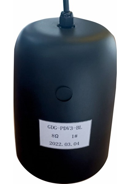 Gdg-Pdv3 Bk Çok Yönlü Hoparlör