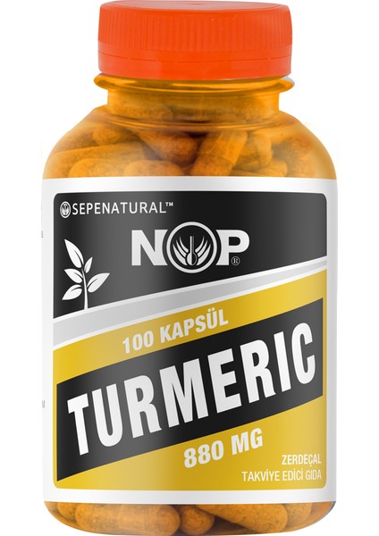 Zerdeçal Kapsül Curcumin Kurkumin Turmeric 100 x 880 mg