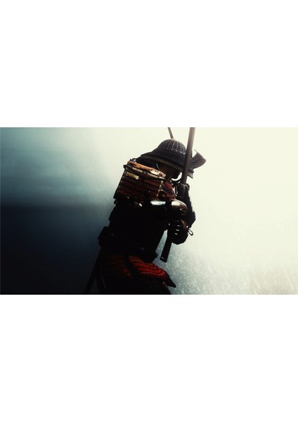 Samuray Pusuda 90X50 8684660336161 Pvc Çerçevesiz Tablo fiyatları