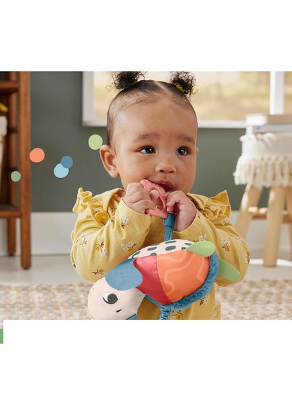 Zıp Zıp Kaplumbağa HKD62 modelleri