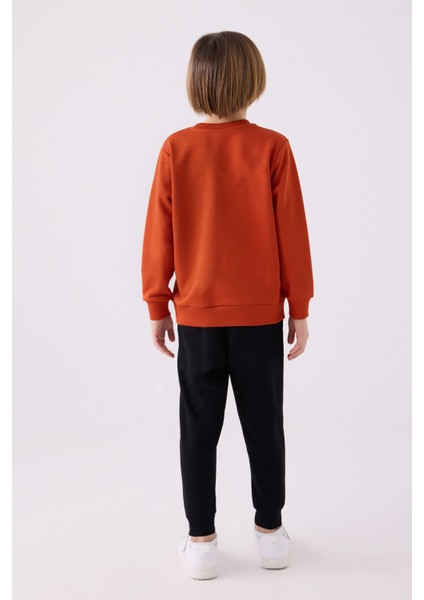 3447 Erkek Çocuk Pijama Takımı fiyatları