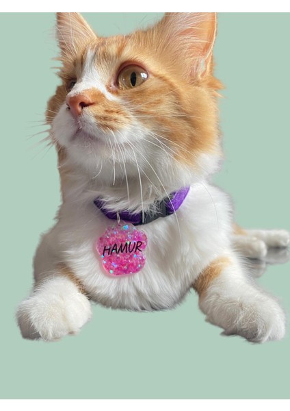 Pati Şeklinde Zilli Isimli Kedi Küçük Irk Köpek Tasması