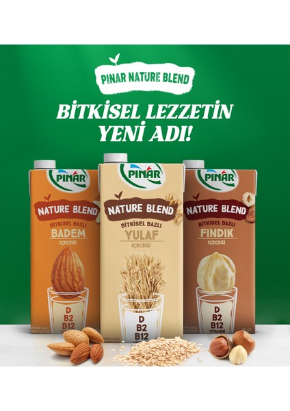 Nature Blend Bitkisel Bazlı Fındık Içeceği 1 L Vegan Laktozsuz
