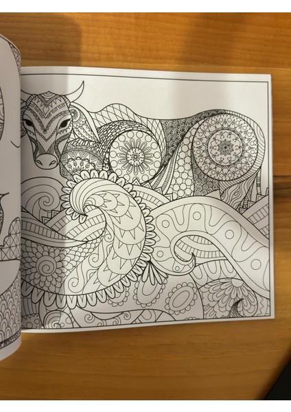 Rengarenk Terapi fırsatları