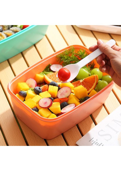 Mühürlü Taze Tutma Öğrenci Öğle Yemeği Kutusu (Yurt Dışından) fiyatları