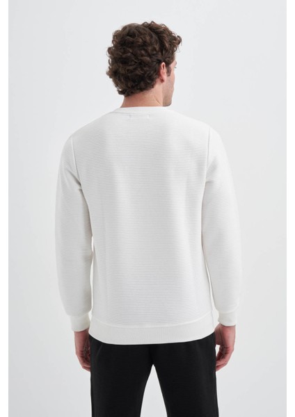 Erkek Sweatshirt Ekru 5046 fiyatları