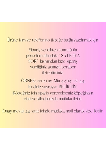 Dikdörtgen Şeklinde Zilli Isimli Kedi Küçük Irk Köpek Tasması fiyatları