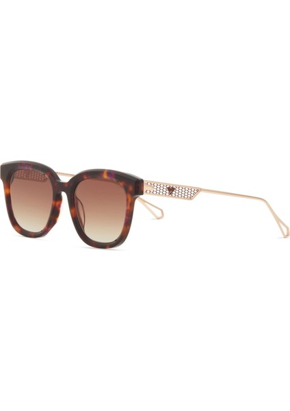 Bc 1315 C3 Cat Eye Havana - Altın Kadın Güneş Gözlüğü