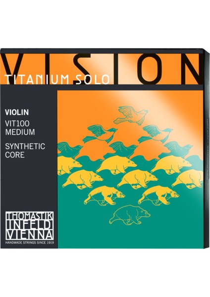 VIT100 VISION TITANIUM SOLO Keman Takım Tel
