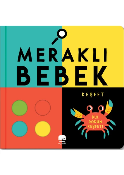 Meraklı Bebek Keşfet - (Bul Dokun Keşfet) - Rebecca Weerasekera