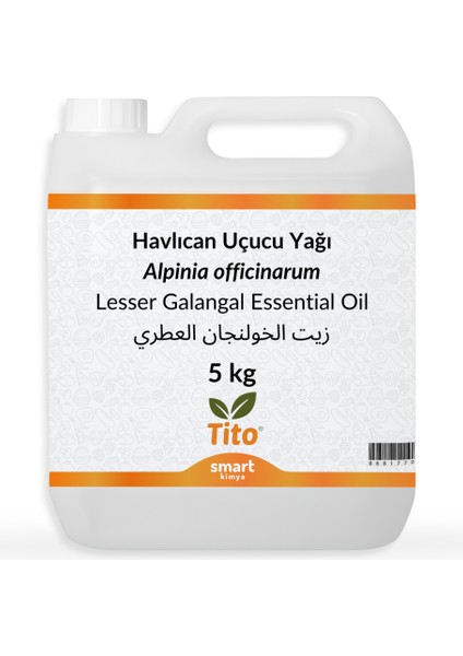Havlıcan Uçucu Yağı Alpinia Officinarum 5 kg