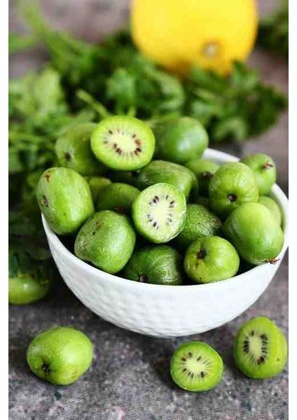 Lezzetli Mini Kivi Fidanı (Actinidia Arguta) - 2 Yaşında Tüplü Verimli ve Dayanıklı