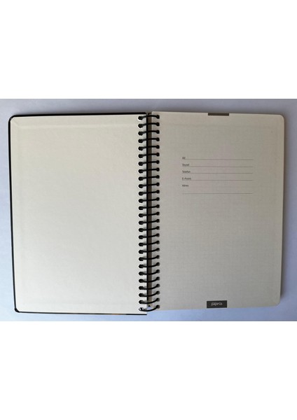 Tuval Serisi Kareli Defter, Spiralli, Sert Kapaklı (Ön Kapak Görseli; Inci Küpeli Kız) 16 x 23 Cm, 100 Yaprak