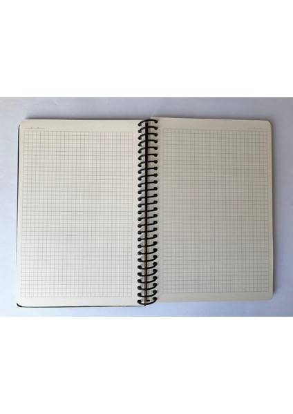 Tuval Serisi Kareli Defter, Spiralli, Sert Kapaklı (Ön Kapak Görseli; Inci Küpeli Kız) 16 x 23 Cm, 100 Yaprak