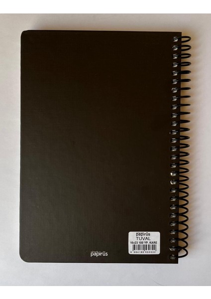 Tuval Serisi Kareli Defter, Spiralli, Sert Kapaklı (Ön Kapak Görseli; Inci Küpeli Kız) 16 x 23 Cm, 100 Yaprak
