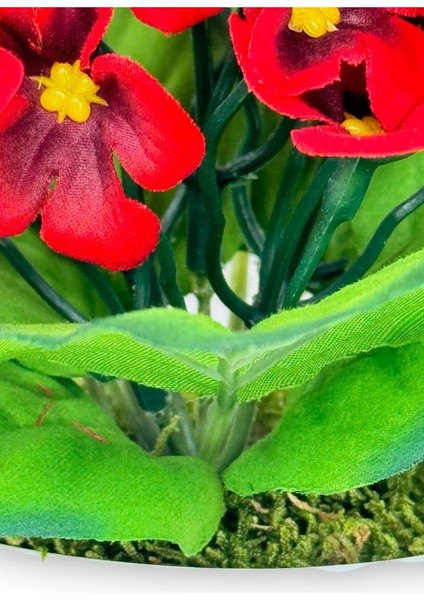 Yapay Çiçek Kadife Menekşe Gerçekçi Doku Kırmızı modelleri