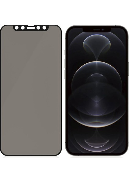 iPhone 12 Pro Max Hayalet Privacy Gizli Seramik Mat Ekran Koruyucu fiyatları