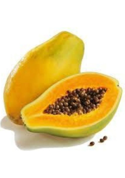 Papaya Ağacı Tohumu Ithal Tropikal Papaya Tohumu 3 Adet Tohum + Saksı Toprak