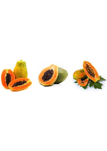 Papaya Ağacı Tohumu Ithal Tropikal Papaya Tohumu 3 Adet Tohum + Saksı Toprak