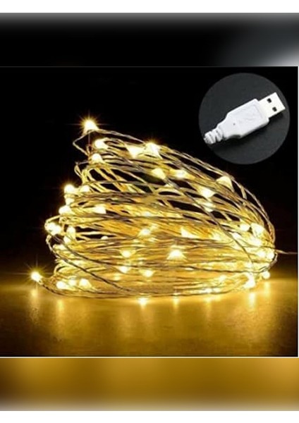 Peri LED Işık 10 Metre Gün Işığı USB ile Çalışan Çok Amaçlı Dekoratif Aydınlatma modelleri