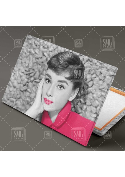 Pembe Rujlu Audrey Hepburn Nostaljik Film Yıldızı Ikon Yatay Kanvas Tablo