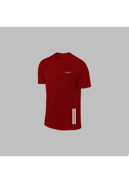 Yeni Seri Büyük Beden Erkek Bordo Dri-Fit Kumaş Yuvarlak Yaka Cepli Şık Konforlu Tişört Şort Seti 4XL-10XL