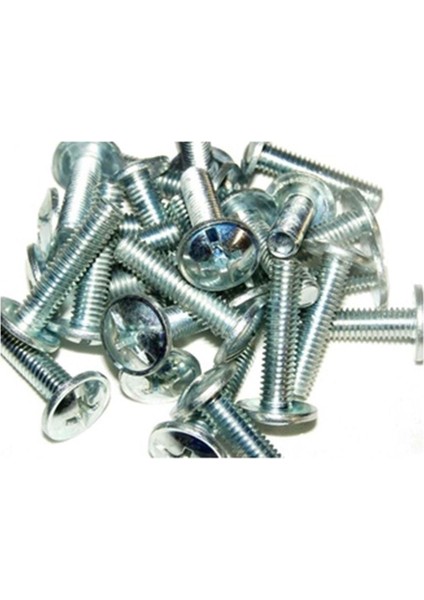 Skm Kaporta Vidası Cup M6 x 25(1 Adet)