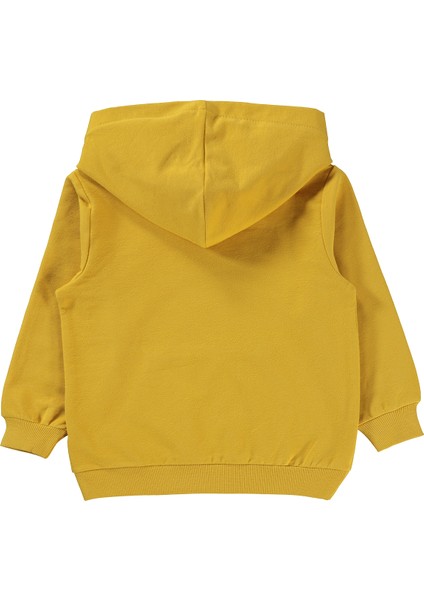 Erkek Çocuk Sweatshirt 2-5 Yaş Hardal fiyatları