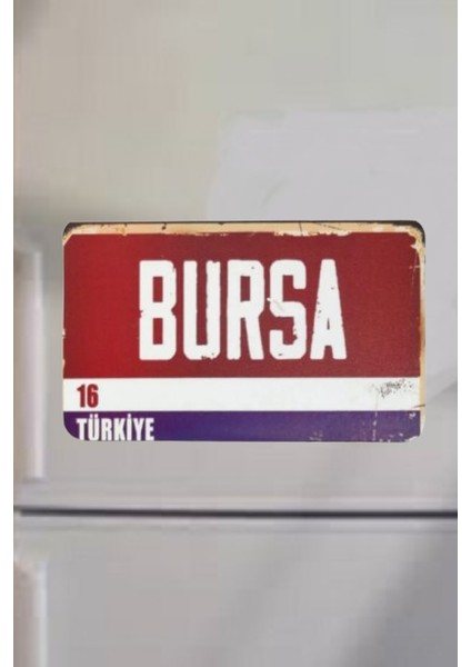 Bursa Şehir Temalı Buzdolabı Magneti