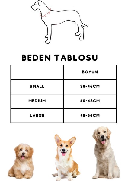 ‘’ Pera ‘’ Eller Serbest - 2 Parça Köpek Gezdirme Seti indirimleri