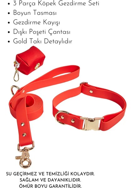 '' Çiko '' 3 Parça Köpek Tasması ve Gezdirme Seti - 1 Adet Rulo Dışkı Poşeti Hediyelidir fırsatları