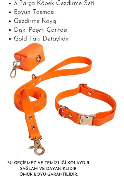 '' Çiko '' 3 Parça Köpek Tasması ve Gezdirme Seti - 1 Adet Rulo Dışkı Poşeti Hediyelidir modelleri